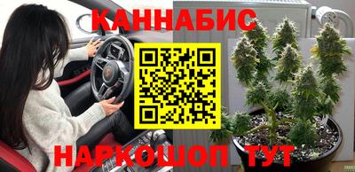 прущие крисы Гатчина