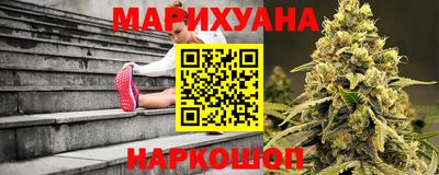 прущие крисы Гатчина