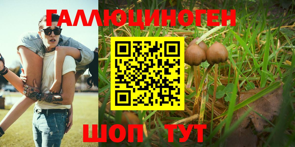 Галлюциногенные грибы Magic Shrooms Жигулёвск
