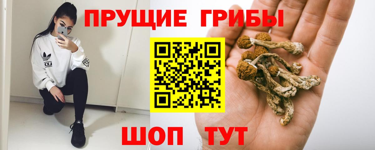 Псилоцибиновые грибы мицелий  Вход с VPN  Псилоцибиновые грибы MAGIC MUSHROOMS  Жигулёвск 